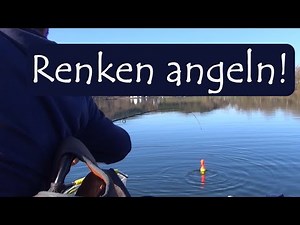 Angeln auf Renken - Die besten Gewässer | mit Martin Maschka