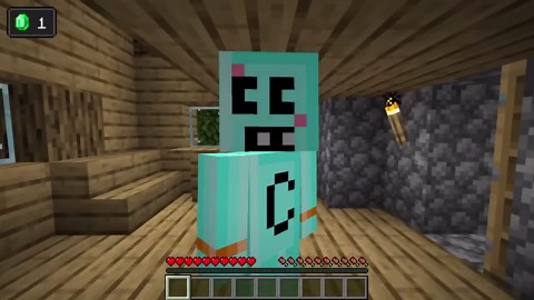 Adopted poor, became rich in dramatic Minecraft survival