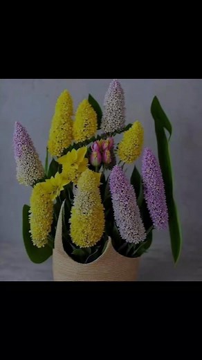 112K views · 10K reactions |  . . . . . . . . . . . #films Ten...