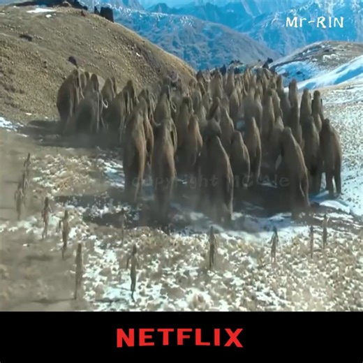 3.5K views · 28 reactions | The craziest chase scenes ever caught on camera  #CarChase #Thrilling #FastAndFuriousVibes #Adrenaline #TrendingNow #HighlightReel #SceneDrop #MovieTime #HollywoodStyle | Ghettotvmax | Facebook