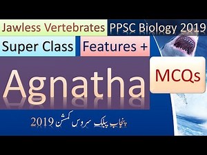 Agnathans | Jawless Fishes | Features | PPSC MCQs