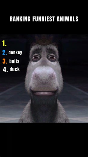 top 4 funniest animals | compilation memes #funny #shorts #animalmemes