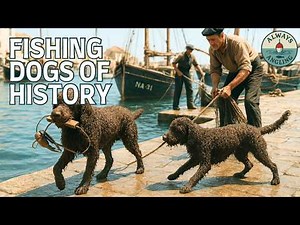 The Incredible Fishing Dogs of History | Working Water Dogs of the Sea & Coast