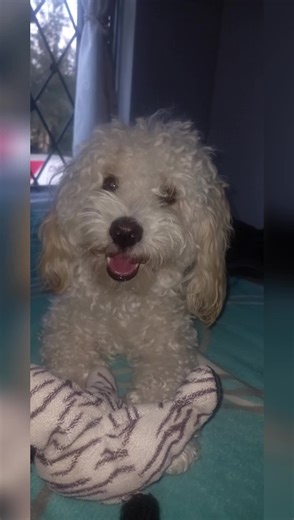 MEDASA_GUADALAJARA on TikTok