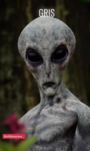 Extraterrestres Grises: Imágenes y Fotos Impactantes