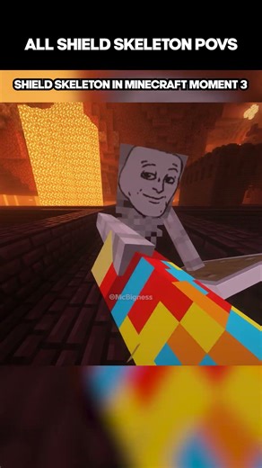 ALL SHIELD SKELETON MEME in Minecraft moments