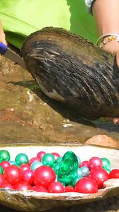 🎁 Girl's Riverbank Diamond Pearl #pearls | Digging life