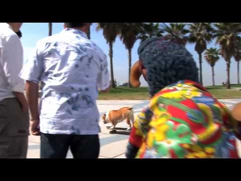 Rolling with the Skateboarding Dog! | Rizzo the Rat, Gonzo, and Rowlf the Dog | The Muppets