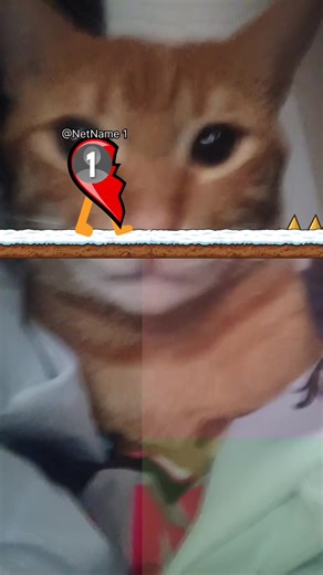 Videos de 💗$marte$💗 (@rggjfghgffggh) con “sonido original - :)”