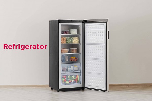 Frigidaire 10 cu. ft. Upright Convertible Refrigerator/Freezer in Platinum EFRF1060-6COM