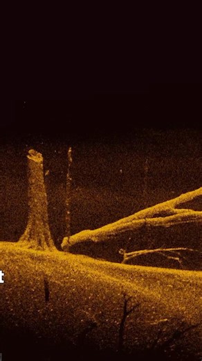 Are you dropping a waypoint here? 👀 #Humminbird | Humminbird