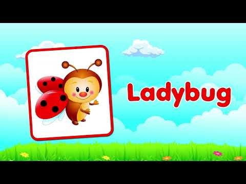 Meet the Bugs! Let's Learn the Names of Insects.