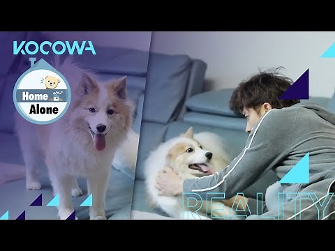 Sung Hoon plays with his dog right as he gets home [Home Alone Ep 389]