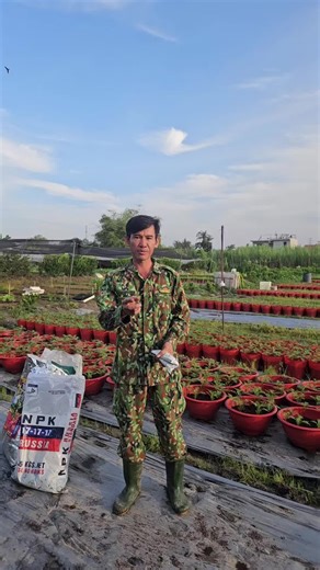 #chamsoccaycanh @THÔNG NÔNG NGHIỆP