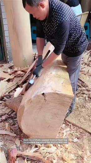 Hand-Peeling Bark from a Fresh Log