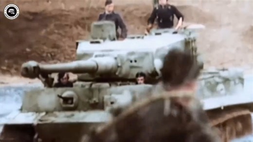 57K views · 3.2K reactions | Panzer VI Tiger en acción Frente del Este. #Military #Militaria #MilitaryHistory #HistoriaMilitar #SegundaGuerraMundial #WorldWarII #PanzerVITiger #EastFront | Militaría-Historia. | Facebook