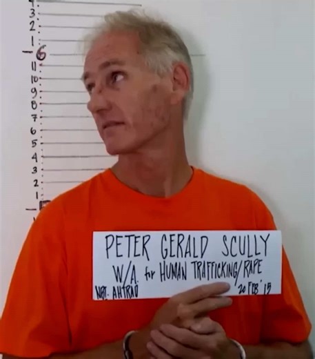 قضية بيتر سكولي: الحقائق والأسرار