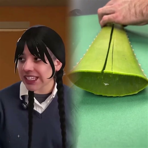 That friend who thinks you're a bookstore