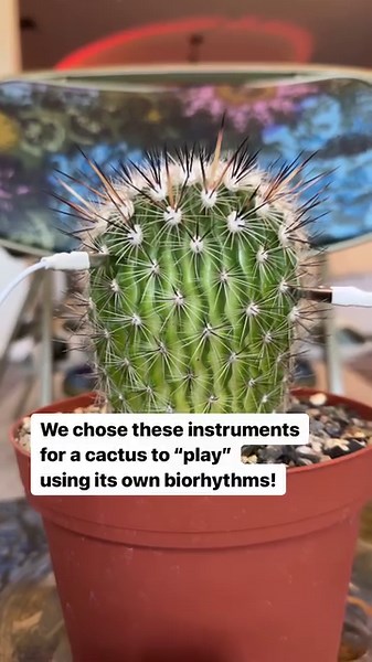 11K views · 655 reactions | Choosing the right instruments based on...