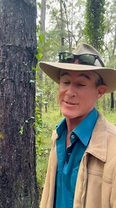 The first condom was invented in NZ. #crocturnbull #askanyaussie #australia #newzealand | Steve Turnbull