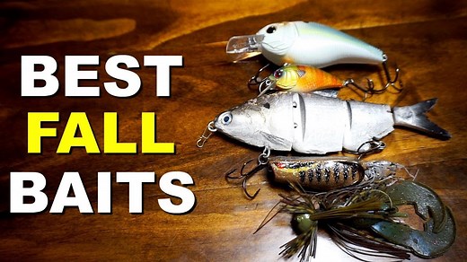 Autumn's Allure: The Top Five Baits for Fall Bass