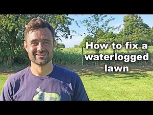 How to fix a waterlogged lawn