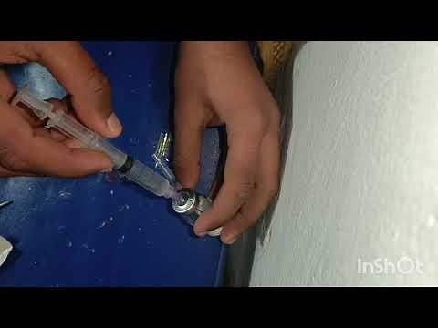 IM Intramuscular injection Push in the Buttocks Ceftriaxone 500mg & Dexamethasone ventrogluteal