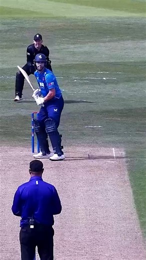 52K views · 248 reactions | Mind the windows, Corey  | Kent Cricket | Facebook