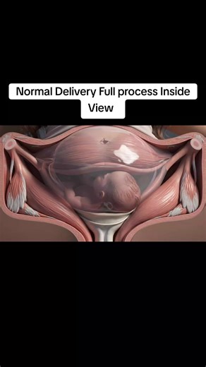 Understanding the Normal Delivery Process: An Inside View