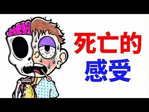 【中配】死亡的感觉和你想的大不一样 - AsapSCIENCE