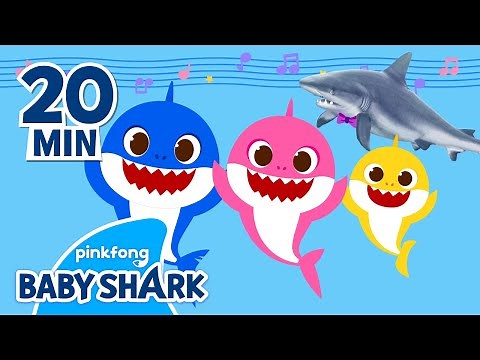 Sing along with Baby Shark! and a Real Shark?! | +Compilation | Song For Kids | Baby Shark Official