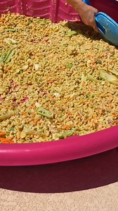 Best way to serve parties for spring break! 🎬This video was produced by Network Media and Life with Alexa | Las Vegas Actor Showcase