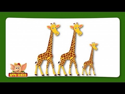 Giraffe Rhymes, Giraffe Animal Rhymes Videos for Children