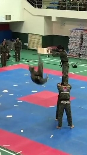 Korean Taekwondo Kick Skills in South Korea