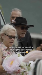 1.5M views · 38K reactions | Go Sandman! #Metallica #sandman #kentuckyderby #kyderby #derby #thoroughbred #iconic #rockstar #PeruvianMetalMilitia | Peruvian Metal Militia | Facebook