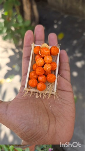 Miniature Orange Making with Clay 🍊 | Easy DIY | Malayalam Tutorial
