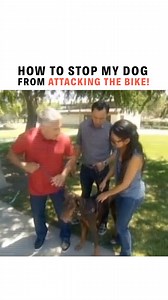 Holiday Tips #6: How to Stop a Dog From Attacking Bikes. | Cesar Millan