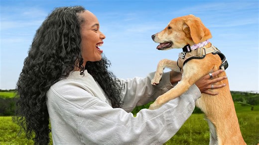 Can we find our rescue puppy a forever home?