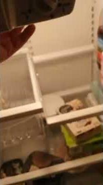 Kenmore refrigerator defrost problem repairing a Kenmore refrigerator with a defrost problem