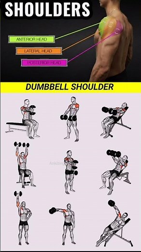 9 Best Dumbbell Shoulder Exercises 💪 | Complete Shoulder Workout at Home