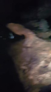 #cliffsandcaves #caving #spelunking #explor..._00001 #cave #sidequest #cavetok | CaveGoose