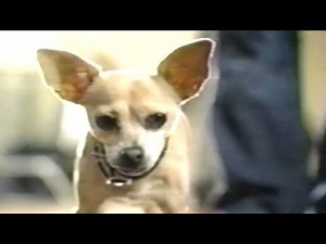 GEICO Spokesperson Auditions Taco Bell Chihuahua meet Gecko 2002 Commercial
