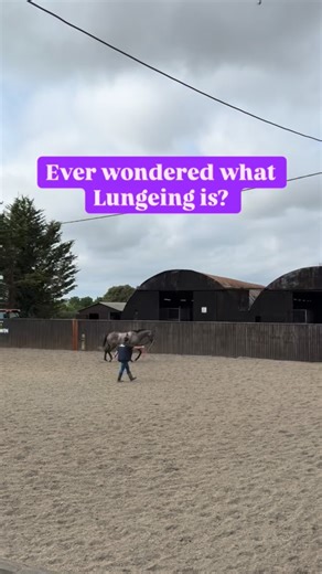 The Paddock Preview – Racecourse Reviews & Raceday Content on Instagram: "✅ What is “lungeing” (sometimes spelled “lungeing” / “longeing”) • Lungeing is a method of training or exercising a horse on the ground. In a lunge session, a handler stands in the centre of a circle, and the horse moves around them at the end of a long line (lunge-line). ￼ • The horse is asked to walk, trot or canter in that circle — guided by voice, body language, pressure/release through the line, and sometimes a lunge 