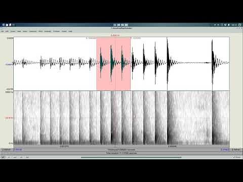 Basic acoustic measurements in Praat