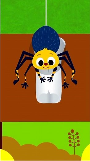 🕷 Petite Araignée #shorts | Chansons des Insectes | Pinkfong Bébé Requin en français