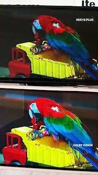 dolby vision technology VS HDR10 PLUS