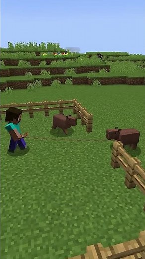 Capybara in minecraft without mods🧸/ArchieMC #shorts