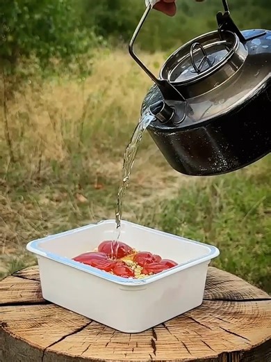 Essential Outdoor Survival Skills and Life Hacks