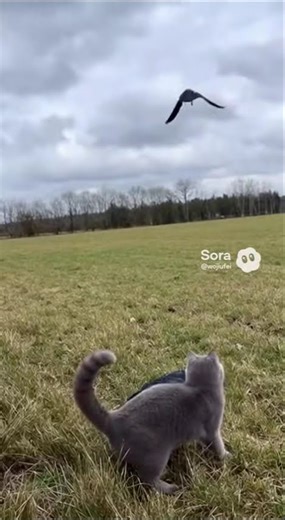 Dont be afraid - I am here to save you