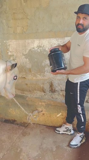 #billo#satandwithkashmir #☺️☺️☺️ #👍👍👍